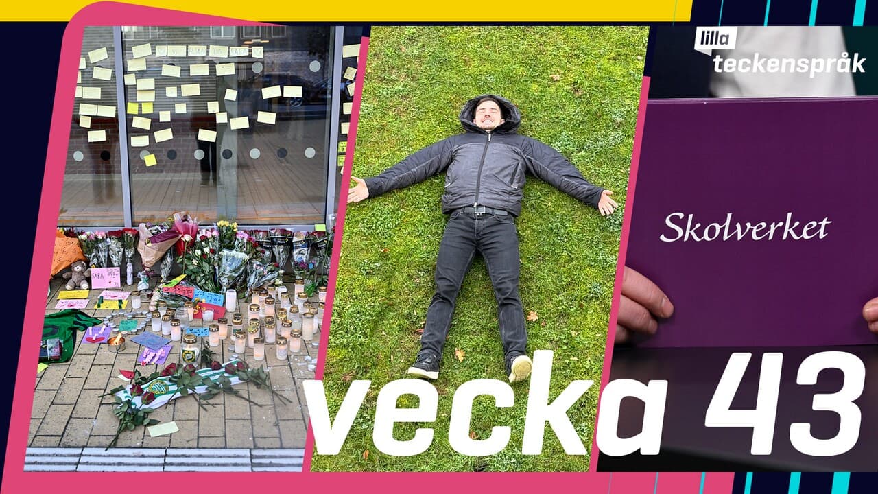 Lilla Aktuellt teckenspråk