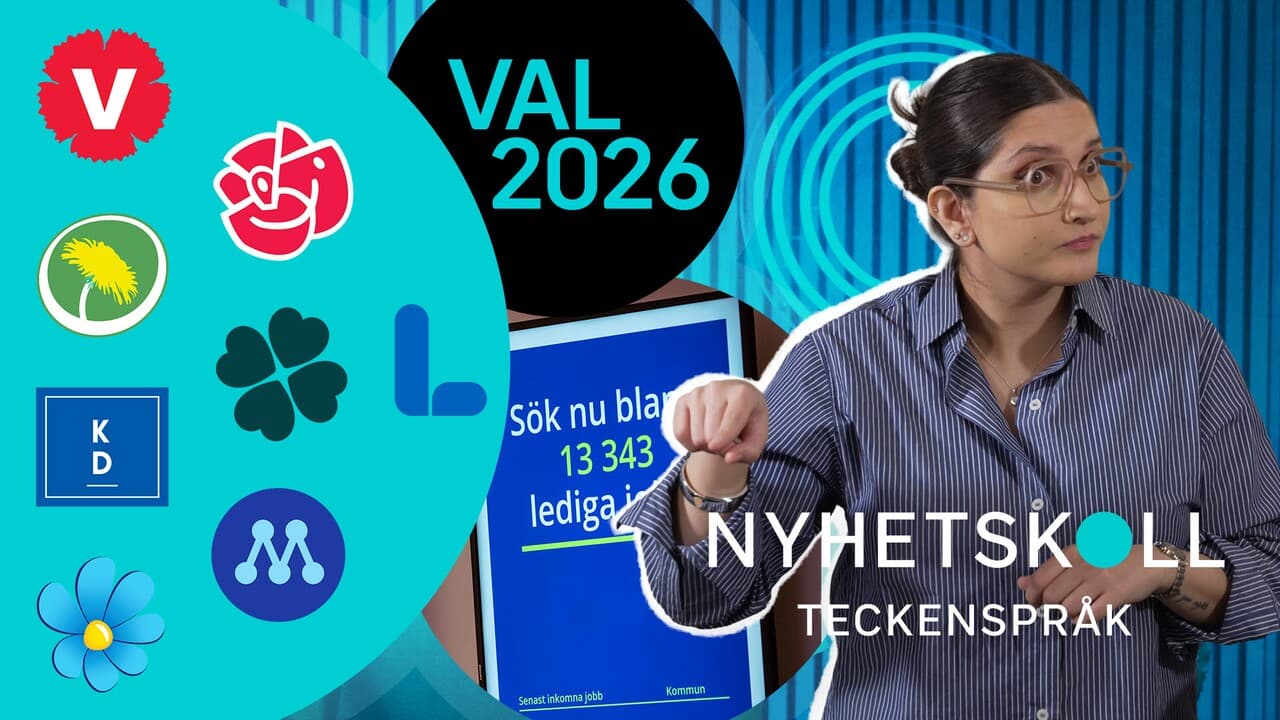 Nyhetskoll teckenspråk