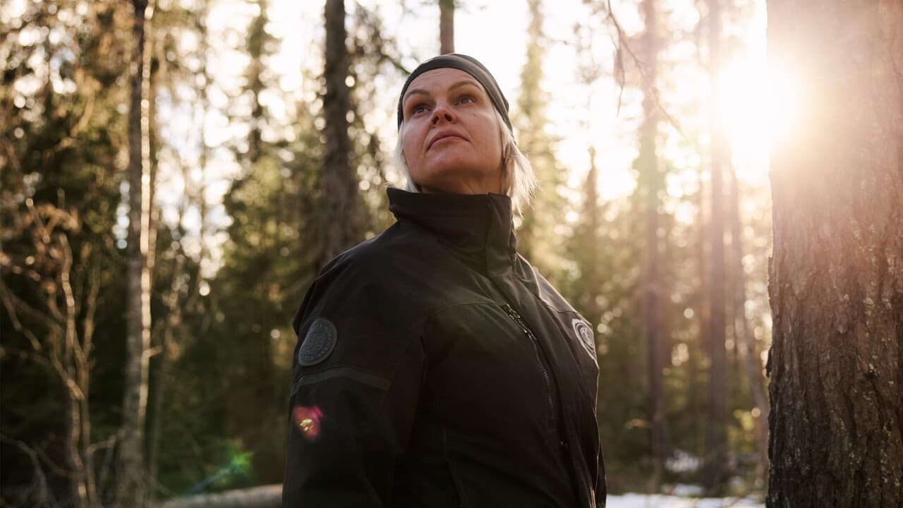 Kulturkvarten på meänkieli