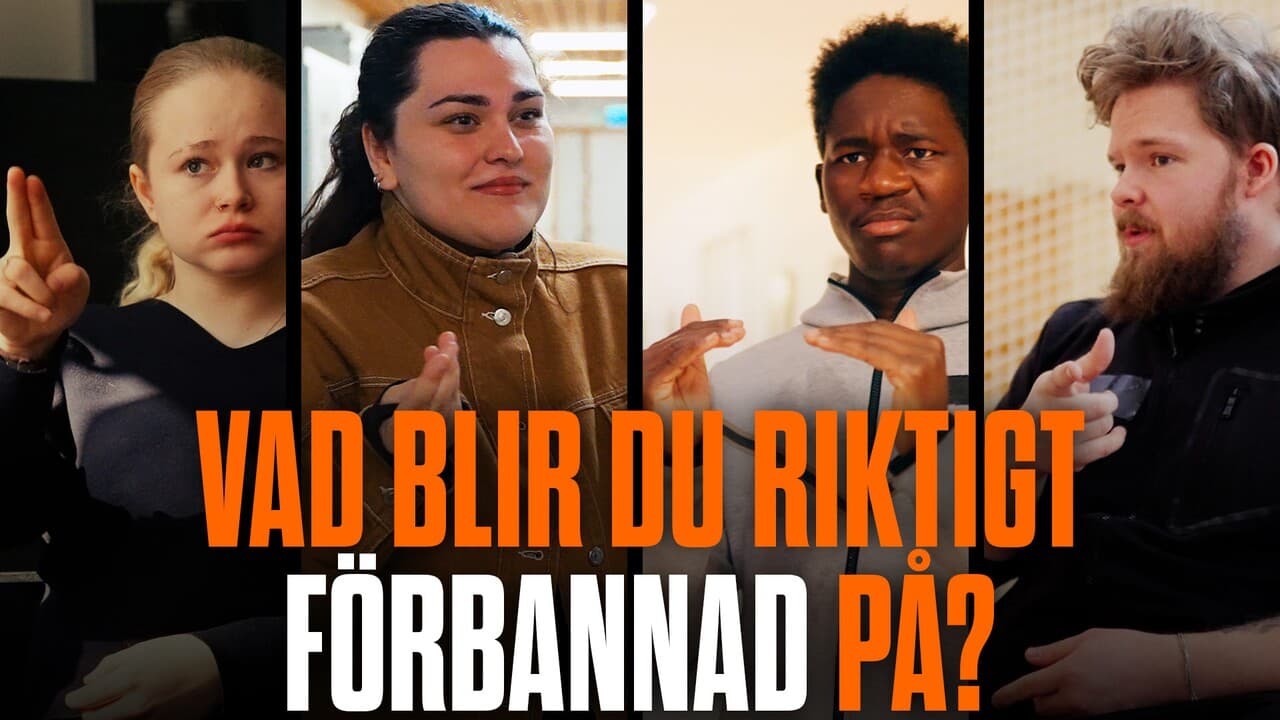 Vi frågar - valet