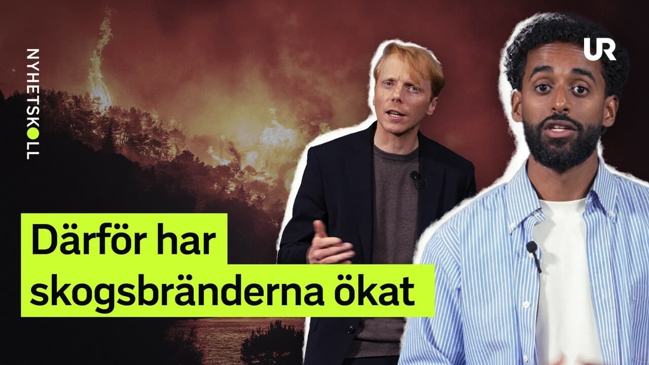 Sommarens bränder som lektion: Nyhetskoll fördjupning förklarar varför skogsbränderna ökar