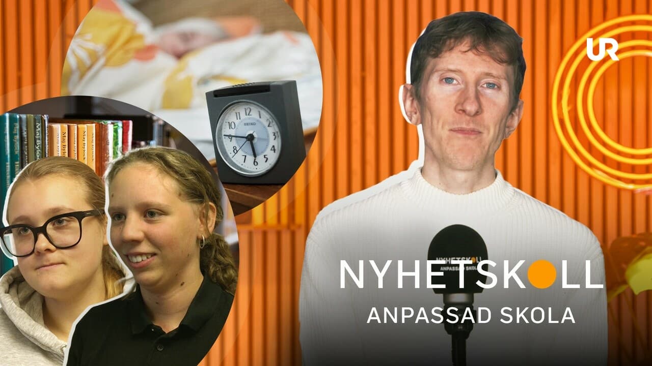 Nyhetskoll anpassad skola