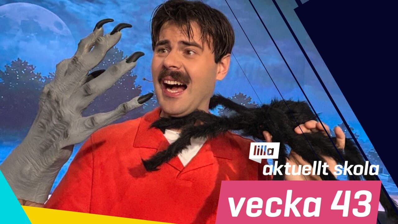 Lilla Aktuellt skola