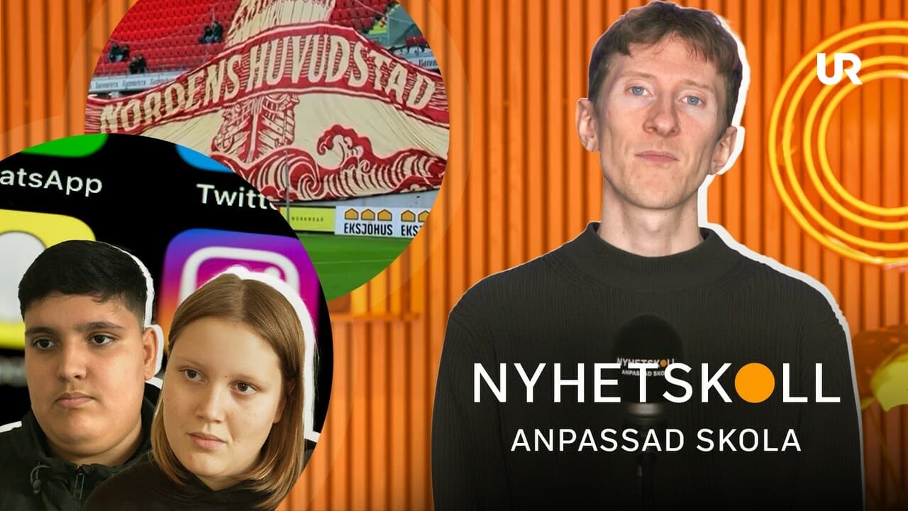 Nyhetskoll anpassad skola